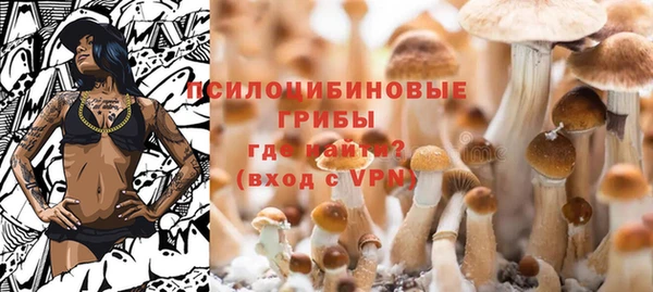 мяу мяу кристалл Алексин